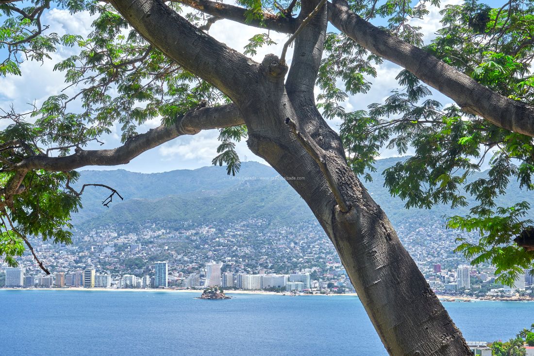 Acapulco (32).jpg